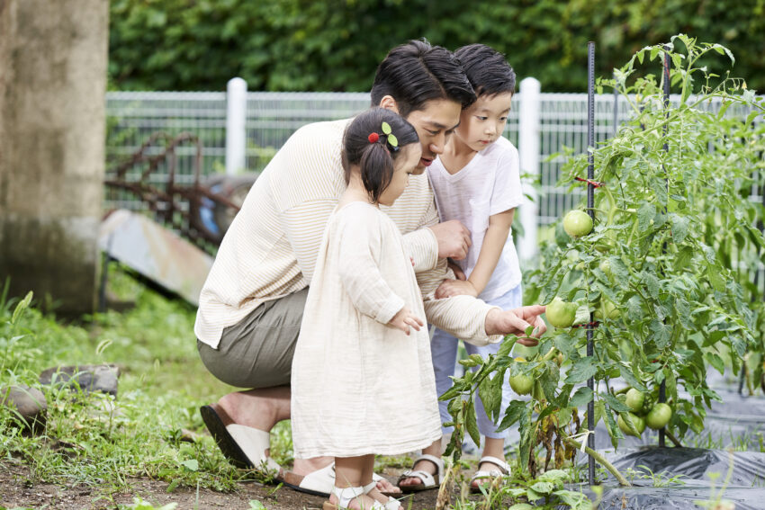 父親が小さな子供と、庭の家庭菜園で収穫