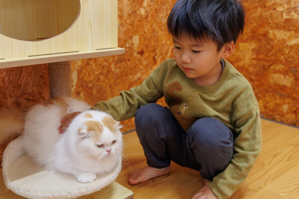 「ペットを飼いたいけれど、、、」潜在意識を書き換えたら思わぬ結果になりました