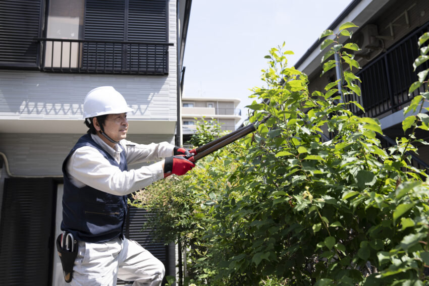 植木屋さんを手配し、見事に植木が剪定され見通しが良くなった