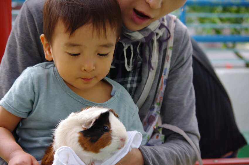 ハリネズミやハムスターの動く姿を見ることができ、子どもたちは大満足