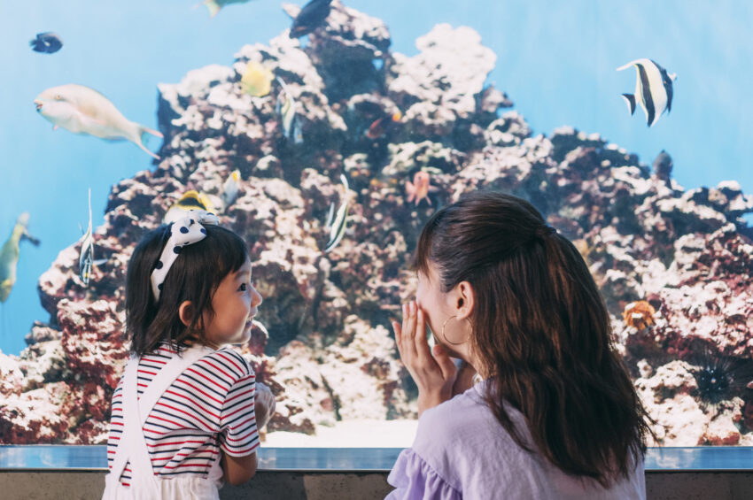 子どもは人混みを気にすることなく、とても楽しんでくれた